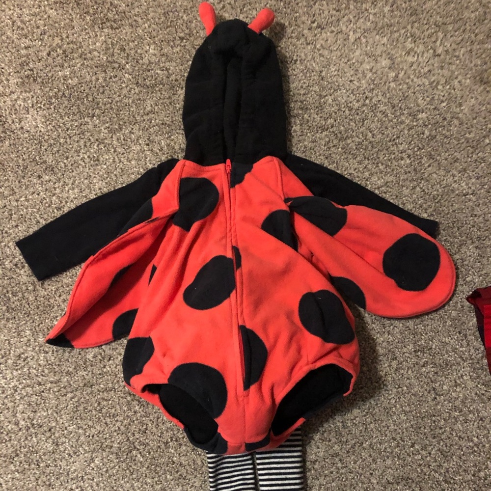 Adorable Ladybug Costume